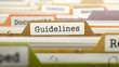 File Folder Labeled as Guidelines in Multicolor Archive. Closeup View. Blurred Image. 3D Render.