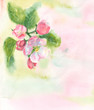 watercolor illustration with spring blossoms