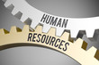 © Coloures-Pic - human resources / Cogwheel