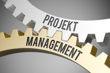 Canvas Print - projektmanagement / Cogwheel