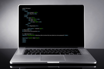 Programming code on laptop monitor