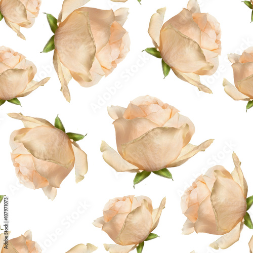elegant  seamless patterny ellow beige rose