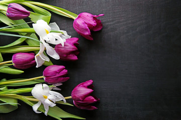 Fototapete - Fresh violet tulips and irises on black background, top view