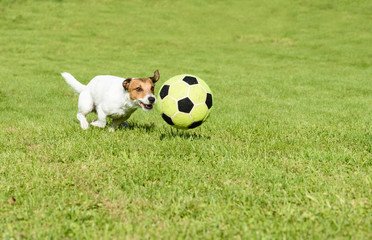 Funny football player playing with a soccer ball at back yard