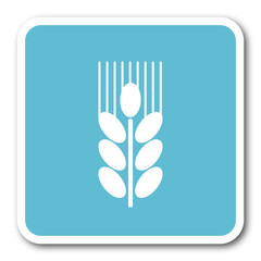 Poster - grain blue square internet flat design icon