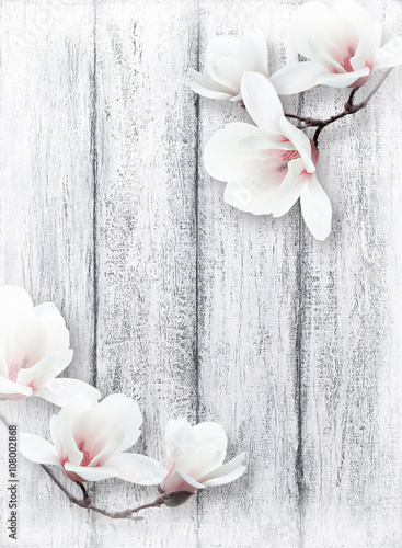 Fototapeta na wymiar Magnolia flowers on background of shabby wooden planks