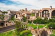 Beautiful view at the Roman forum in Rome, Italy.