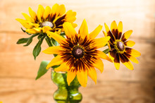 Bouquet Of Rudbeckia Flowers On Wooden Background