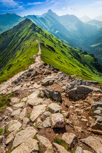 Nowoczesny obraz na płótnie Górski szlak w Tatrach 