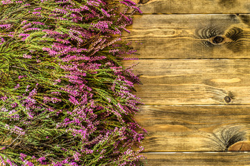 Heather flowers on rustic wood background