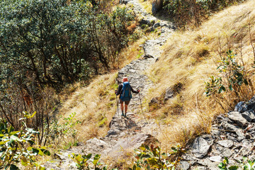 Wall Mural - Hike in Nepal jungle