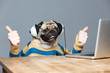 Pug dog with man hands in headphones showing thumbs up
