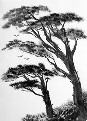  pine trees on a light background