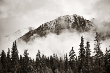 Sticker - Banff National Park