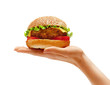 Hands holding a hamburger, isolated on white background.  High resolution product