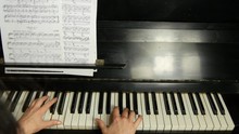 Back View Of Female Hands Playing A Gentle Piece Of Classical Music On A Beautiful Grand Piano. Woman Playing The Piano, Close-up. 

