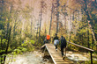© Aleksander Rubtsov/Blend Images - Backpackers hiking on bridge in forest