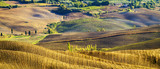 Fototapeta Na ścianę - wonderful autumn landscape of Tuscan fields

