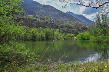 Lago immerso nella natura circondato dagli alberi