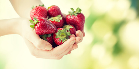 close up of woman hands holding strawberries