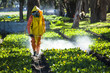 Technical fumigating a flower plantation outdoors.