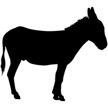 Silhouette Of A Donkey. Black Vector Illustration. Esp10