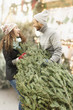 © JGI/Tom Grill/Blend Images - Couple hauling tree at Christmas tree farm