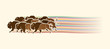 Group of buffalo running designed on line rainbows movement graphic vector