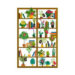 Wall Mural - Indoor potted plants on shelves set isolated flat style illustration