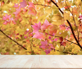 Wall Mural - Wood material background for product display.