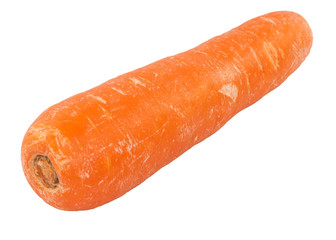 Closeup orange Carrot vegetable on white background