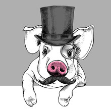 Pig Portrait In A Hat Bowler And With Monocle. Vector Illustration.