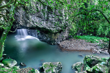 Forest river and waterfall with stones and trees