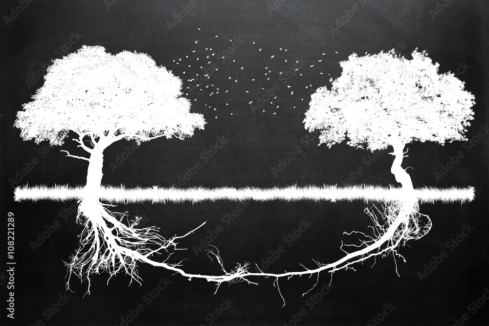 Two trees in front of each other with their roots growing together ...