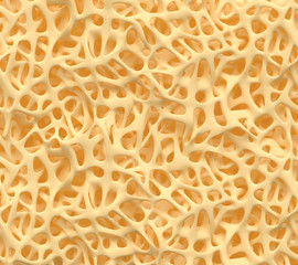 Bone spongy structure close-up, healthy texture of bone