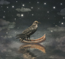 Black Raven In A Boat At The River Magical Night , Illustration Art 