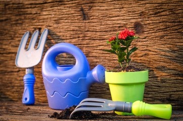 Wall Mural - Spring gardening ,Planting over old wood background