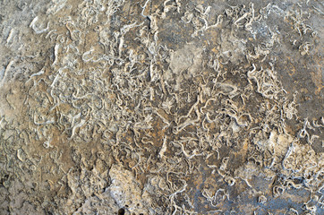 Old Jar Surface