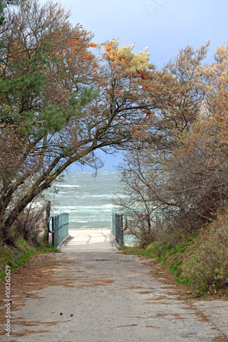 Fototapeta na wymiar Jesienna aleja nad morzem