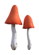 3D Illustration Mushrooms On White