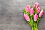 Fototapeta Tulipany - Tulip pink, on the gray background.