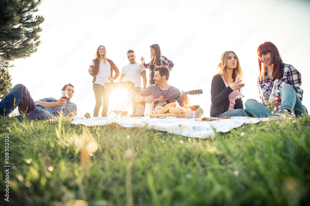 Friends having picnic - obrazy, fototapety, plakaty 