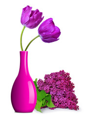 Wall Mural - Purple tulips in vase isolated on white background