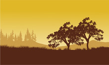 Silhouette Of Tree With Yellow Backgrounds