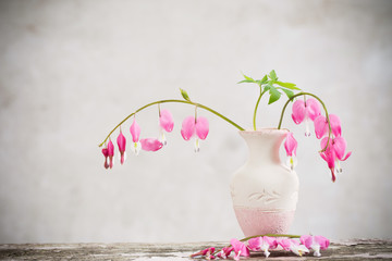 Bleeding heart flowers in vase