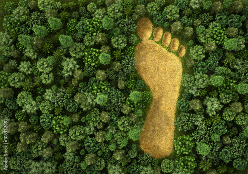 Cuadros en Lienzo Concept of ecology. Imprint of human footprint in nature. It was