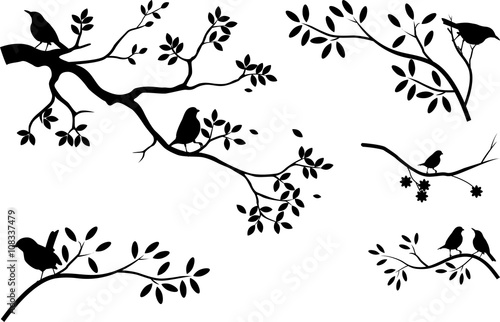 Naklejka na drzwi collection of tree silhouette with bird