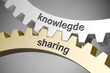 knowledge sharing / Cogwheel