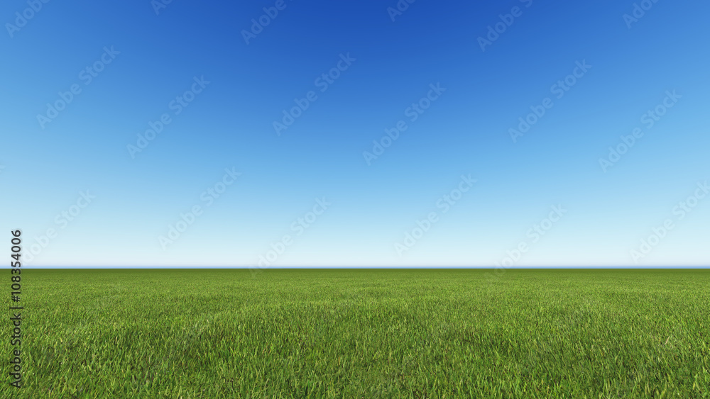 Beautiful landscape, grass clean blue sky - obrazy, fototapety, plakaty 