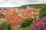 Fototapeta Miasto - Prague. Old town. Petrin hill.St. Thomas Church. St. Nicholas Church. Palffy palace. Wallenstein palace.